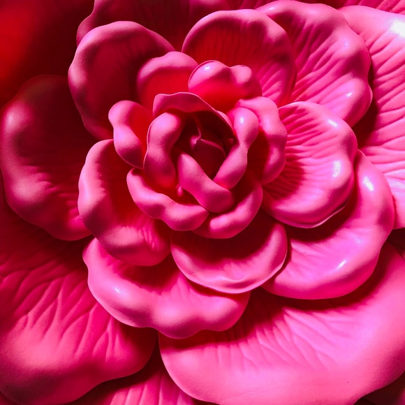 Meet your Posher, Rosie! - Picture 1 of 1